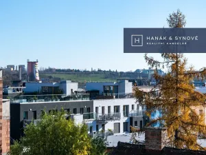 Pronájem bytu 1+kk, Brno, Chaloupkova, 29 m2