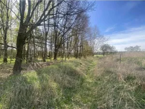Prodej pozemku, Hranice, 2086 m2
