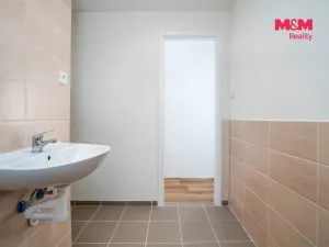 Prodej bytu 3+1, Hradec Králové - Moravské Předměstí, Štefánikova, 79 m2