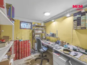 Prodej obchodního prostoru, Pardubice - Zelené Předměstí, Mikulovická, 330 m2