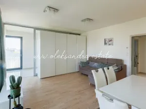 Pronájem bytu 2+kk, Praha - Žižkov, Olšanská, 61 m2