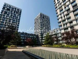 Pronájem bytu 2+kk, Praha - Žižkov, Olšanská, 61 m2
