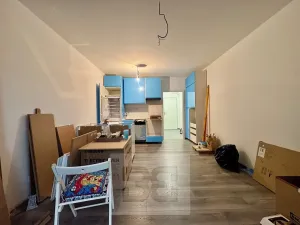 Pronájem bytu 1+kk, Polná, Pojmannova, 33 m2
