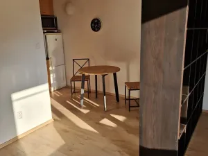 Pronájem bytu 1+kk, Praha - Libeň, Braunerova, 35 m2
