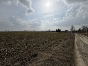 Prodej pole, Toužim - Kojšovice, 25962 m2