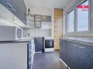 Pronájem bytu 2+1, Plasy, Stará cesta, 55 m2