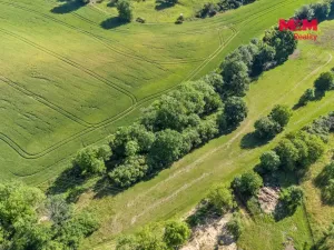 Prodej zahrady, Vysoká, 2180 m2