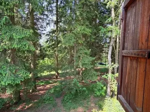 Prodej chaty, Borová, 53 m2