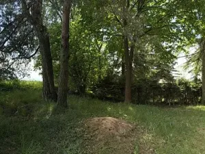Prodej chaty, Borová, 53 m2