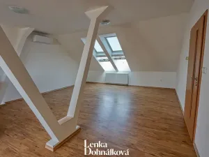 Pronájem bytu 3+kk, Hodonín, 115 m2