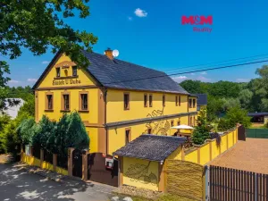 Prodej rodinného domu, Svojetín, 800 m2