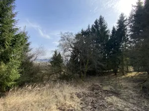 Prodej pozemku, Městečko Trnávka - Lázy, 384 m2