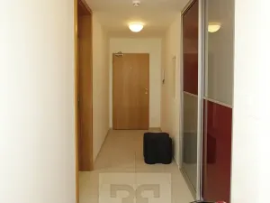 Pronájem bytu 2+kk, Praha - Žižkov, Pitterova, 63 m2