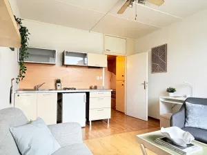 Prodej bytu 1+kk, Praha - Hostivař, Gercenova, 20 m2