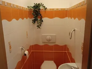 Prodej bytu 3+kk, Výprachtice, 85 m2