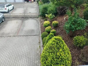 Pronájem bytu 2+kk, Plzeň, Znojemská, 66 m2