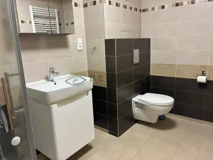 Pronájem bytu 2+kk, České Budějovice, Františka Jelena, 58 m2