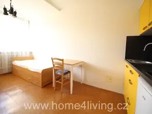 Pronájem bytu 1+kk, Brno, Řadová, 20 m2