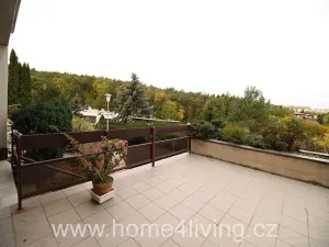 Pronájem bytu 1+kk, Brno, Řadová, 20 m2