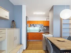 Pronájem bytu 3+kk, Praha - Libeň, Nad Okrouhlíkem, 102 m2