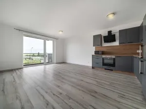 Pronájem bytu 2+kk, Plzeň, Srncová, 58 m2