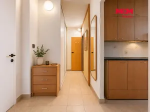 Prodej bytu 1+1, Ostrava - Výškovice, Lumírova, 40 m2