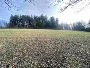 Prodej pole, Černá v Pošumaví - Bližná, 2972 m2