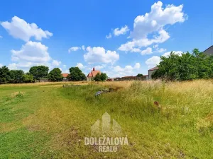 Prodej pole, Bořanovice, 13746 m2