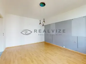 Prodej bytu 2+1, České Budějovice, Jar. Haška, 45 m2