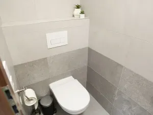 Prodej bytu 3+kk, Bělá pod Bezdězem, U Kina, 70 m2