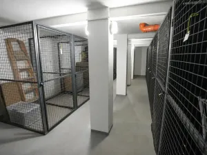 Prodej bytu 3+kk, Bělá pod Bezdězem, U Kina, 70 m2