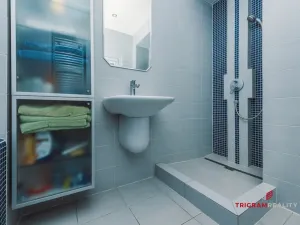 Pronájem bytu 2+1, Hradec Králové, Eliščino nábřeží, 80 m2
