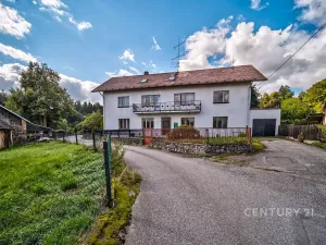 Prodej komerční nemovitosti, Horní Cerekev, 460 m2