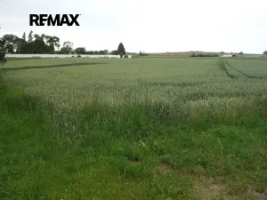 Prodej pozemku pro bydlení, Hořesedly, 985 m2