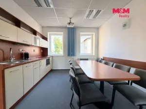 Pronájem skladu, Ostrava - Přívoz, 191 m2