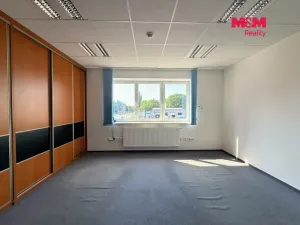 Pronájem skladu, Ostrava - Přívoz, 191 m2