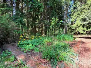 Prodej chaty, Borová, 53 m2