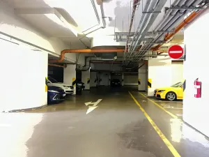 Pronájem garážového stání, Praha - Dejvice, Paťanka, 13 m2