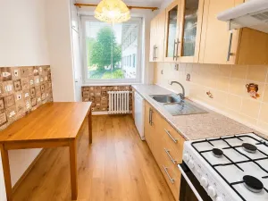 Prodej bytu 3+1, Ústí nad Labem, U Pivovarské zahrady, 64 m2