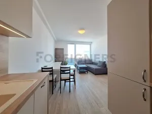 Pronájem bytu 2+kk, Olomouc, Litovelská, 54 m2