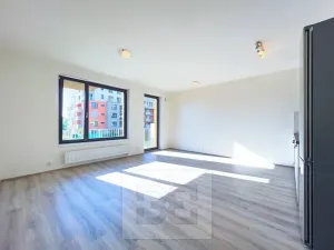 Pronájem bytu 1+kk, Praha - Čimice, Hrašeho, 46 m2