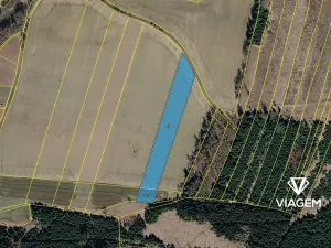 Prodej pole, Dolní Hořice, 10402 m2