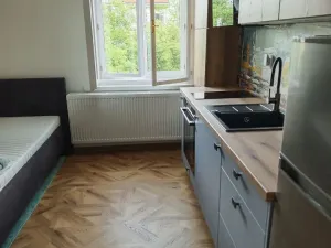 Pronájem bytu 1+kk, Praha, Legerova, 25 m2