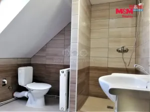 Pronájem bytu 2+kk, Čečovice, 42 m2