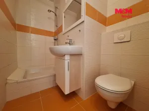 Pronájem bytu 1+kk, Chomutov, Březenecká, 30 m2