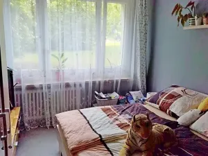 Prodej bytu 3+1, Teplice, Antonína Sochora, 72 m2