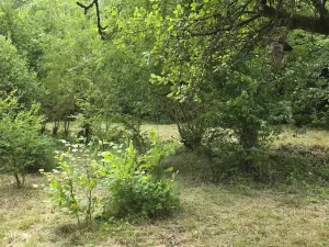 Prodej pozemku pro bydlení, Jilemnice, Na Drahách, 1874 m2