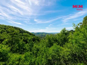 Prodej zahrady, Štramberk, 89052 m2