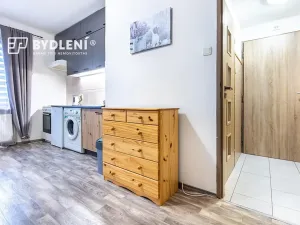 Pronájem bytu 1+kk, Teplice, Duchcovská, 19 m2