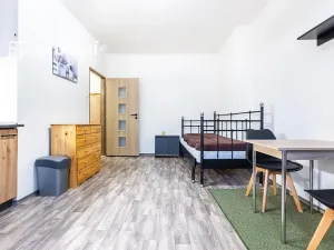 Pronájem bytu 1+kk, Teplice, Duchcovská, 19 m2